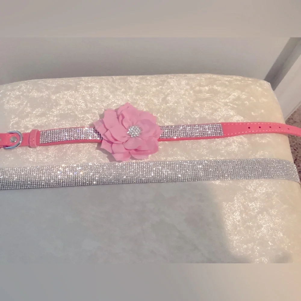 Beautiful dog collar for the pampered pet